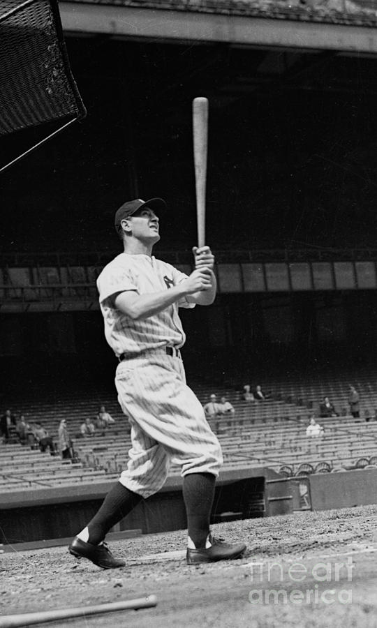 New York Yankees Photograph by Kidwiler Collection New York Yankees Photograph by Kidwiler Collection