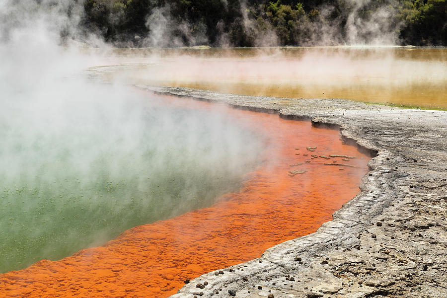 New Zealand, North Island, Rotorua, Oceania, Australasia, Champagne ...