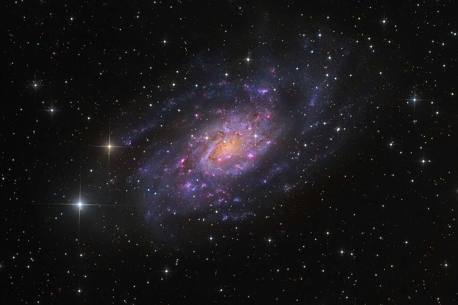 NGC2403-HaLRGBMP #1 Painting by Celestial Images