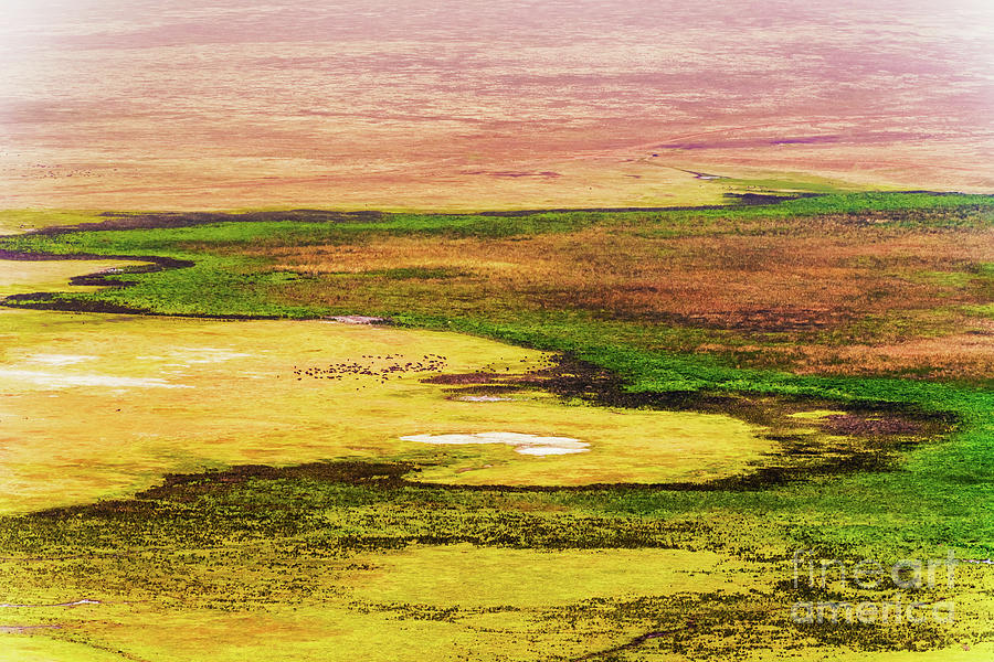 Ngorongoro crater in Tanzania #1 Photograph by Marek Poplawski