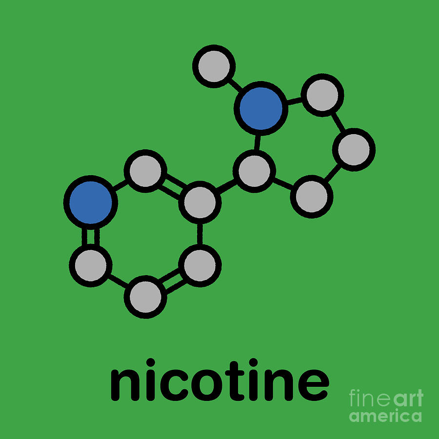 Nicotine Tobacco Stimulant Molecule #1 Photograph by Molekuul/science Photo Library