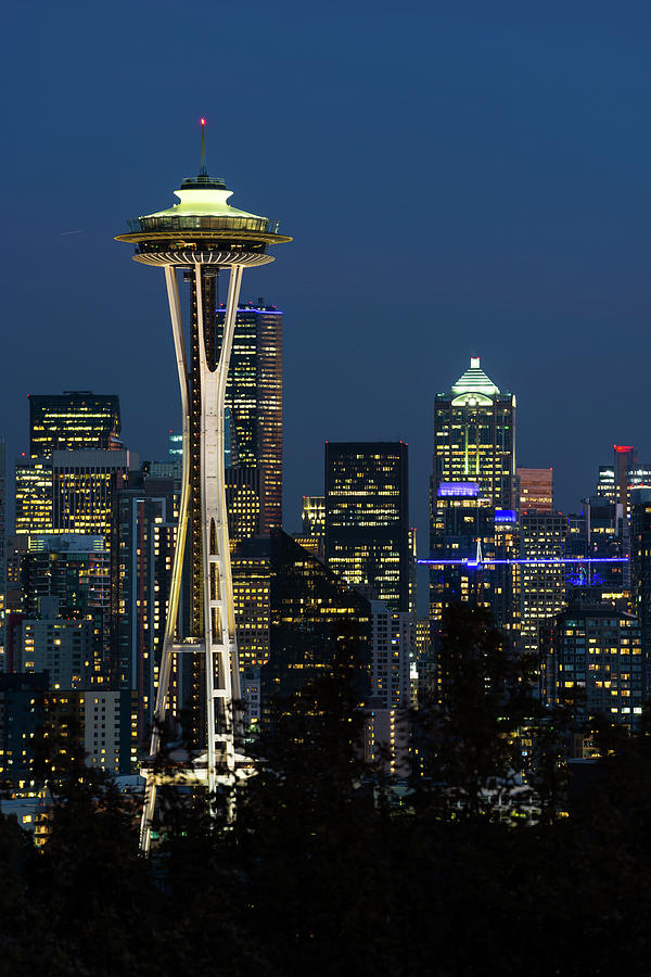 Night view of the Seattle skyline with the Space Needle and other iconic  buildings in the background Photograph by Esteban Martinena Guerrero -  Pixels