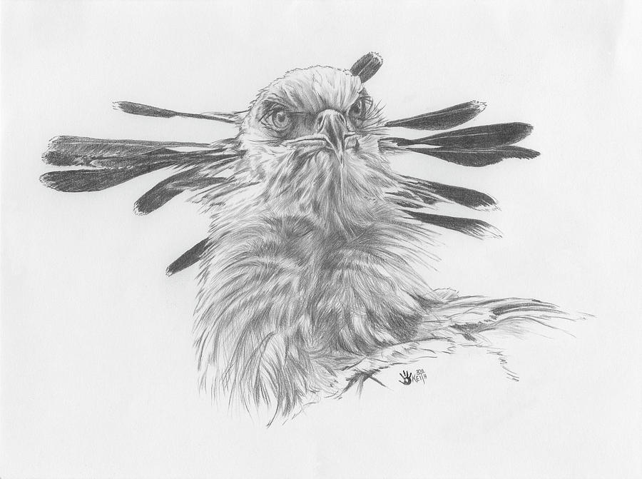 Hawk Painting - Nine 2 Five #1 by Barbara Keith