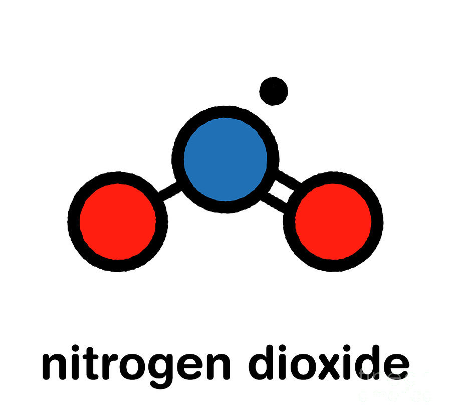 molecular structure of nitrogen