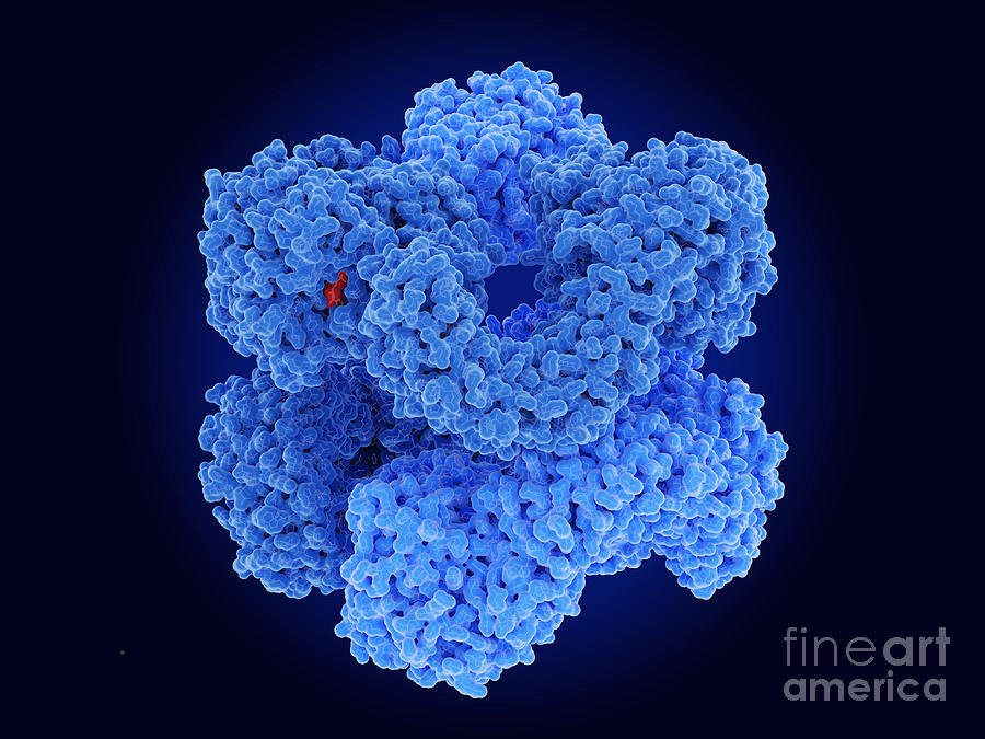 Nlrp3 Inflammasome #1 Photograph by Juan Gaertner/science Photo Library