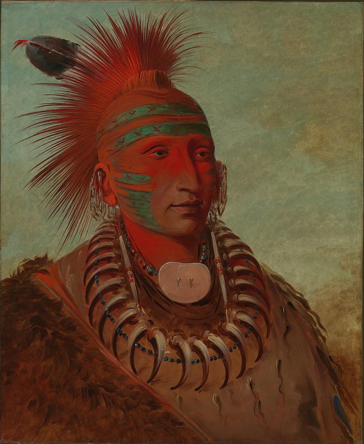 No-ho-mun-ya, One Who Gives No Attention Painting by George Catlin No-ho-mun-ya, One Who Gives No Attention Painting by George Catlin