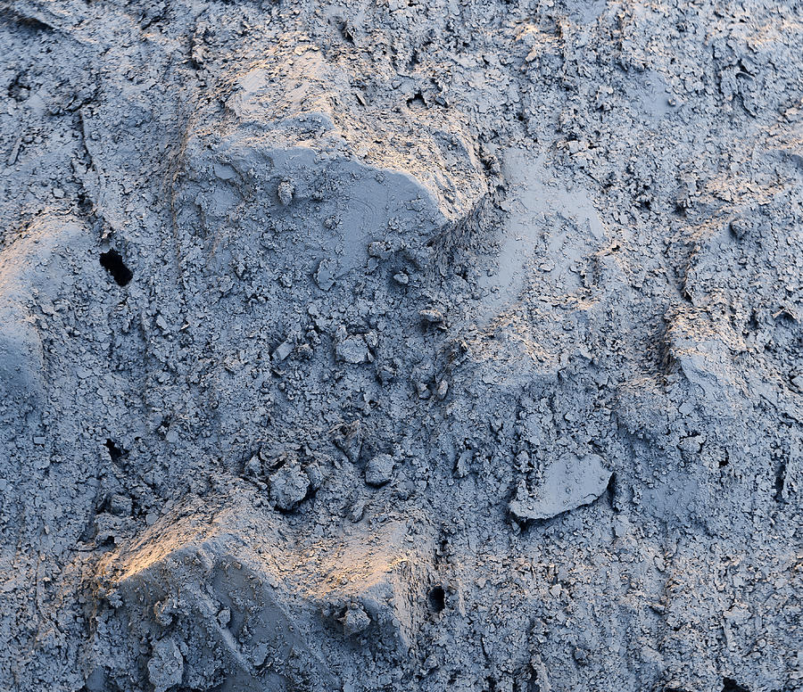 Non-toxic Clay Plaster Sem #1 Photograph by Meckes/ottawa