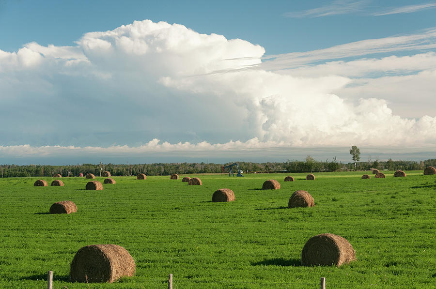 North Alberta Farmland With Hay Bales #1 Photograph by John Elk Iii