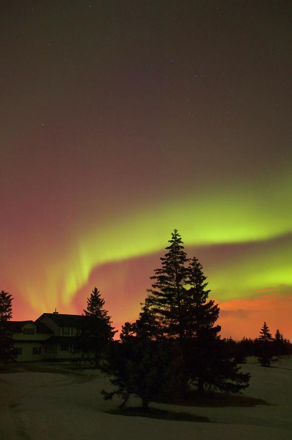 Northern Lights Alberta Canada #1 Photograph by Design Pics/carson Ganci
