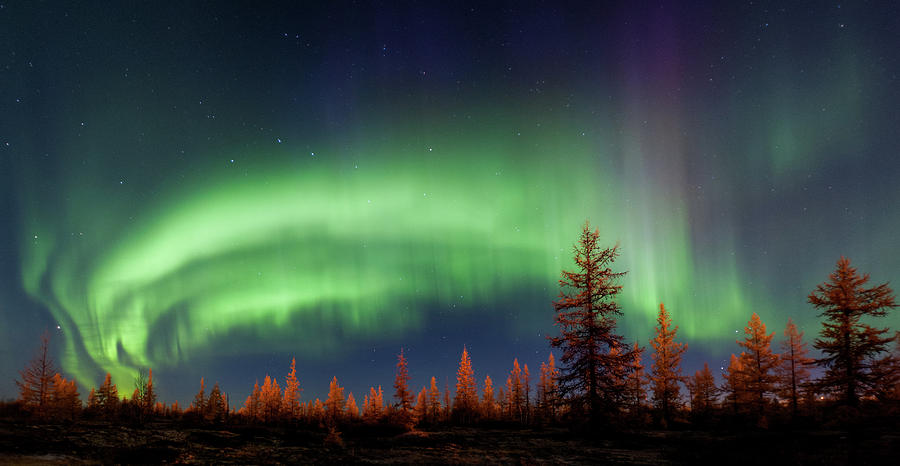 Northern Lights #1 Photograph by Andrey Snegirev