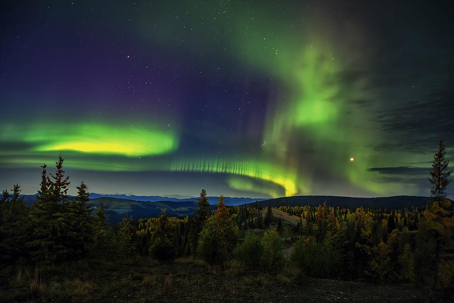 Northern Lights #1 Photograph by Shirley Ji
