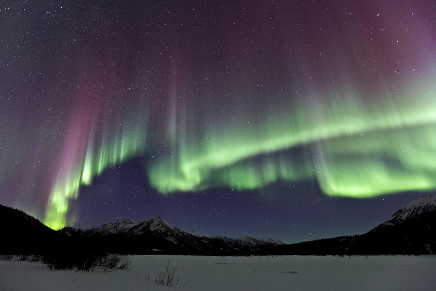 Northern Lights, Wiseman, Alaska #1 Digital Art by Bernd Rommelt