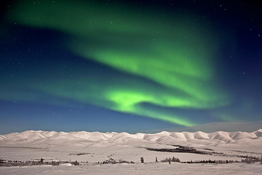 Northern Lights, Yukon Territory, Ak #1 Digital Art by Bernd Rommelt
