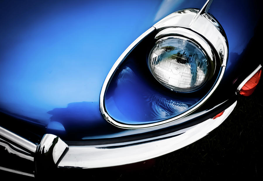 Nose Of A Jaguar Photograph By Bob Lynn - Pixels