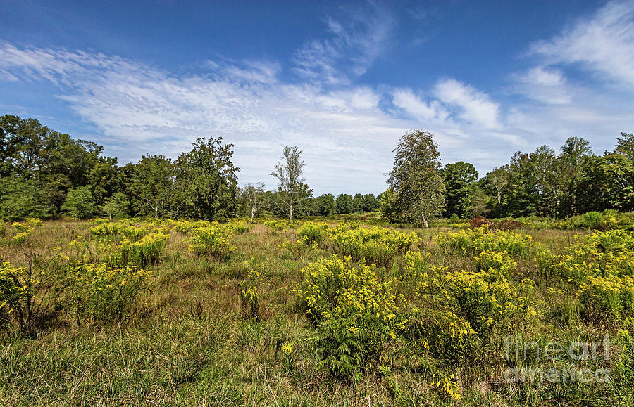 Nothern Georgia Photograph by Bernd Laeschke