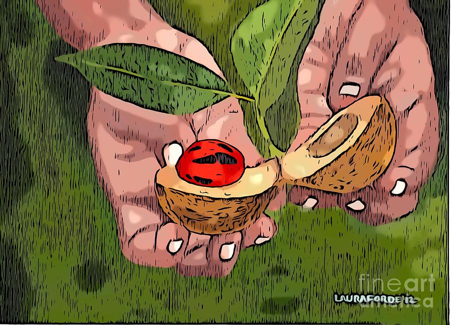Nutmeg In Hand #2 Digital Art by Laura Forde