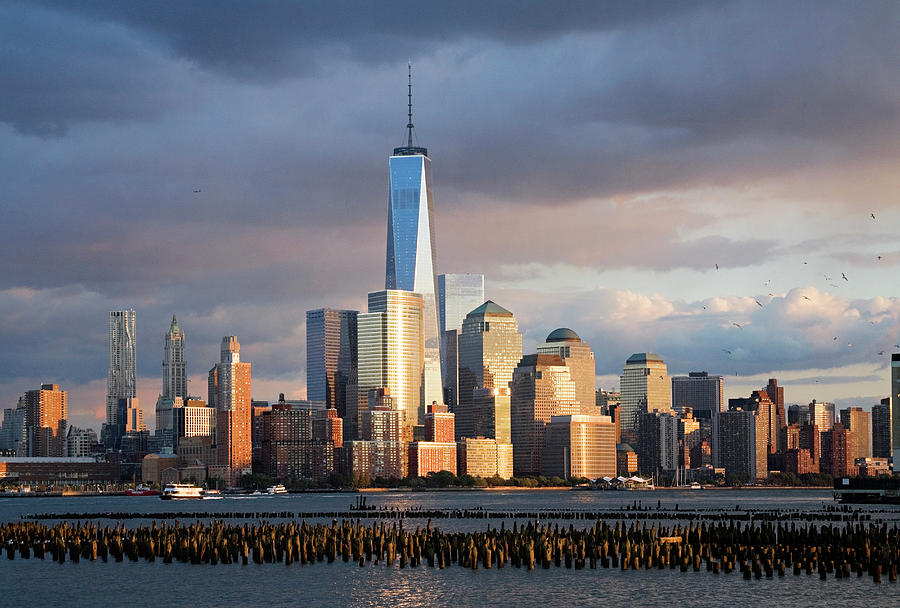 Nyc Skyline With Freedom Tower Digital Art by Sandra Raccanello - Fine ...