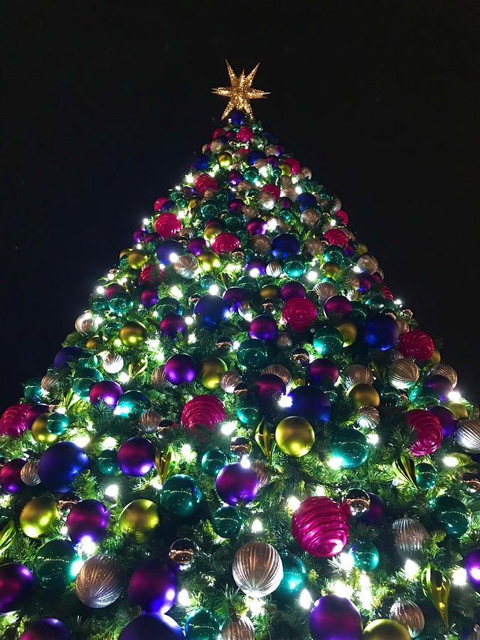 O Christmas Tree #1 Photograph by Chris Montcalmo