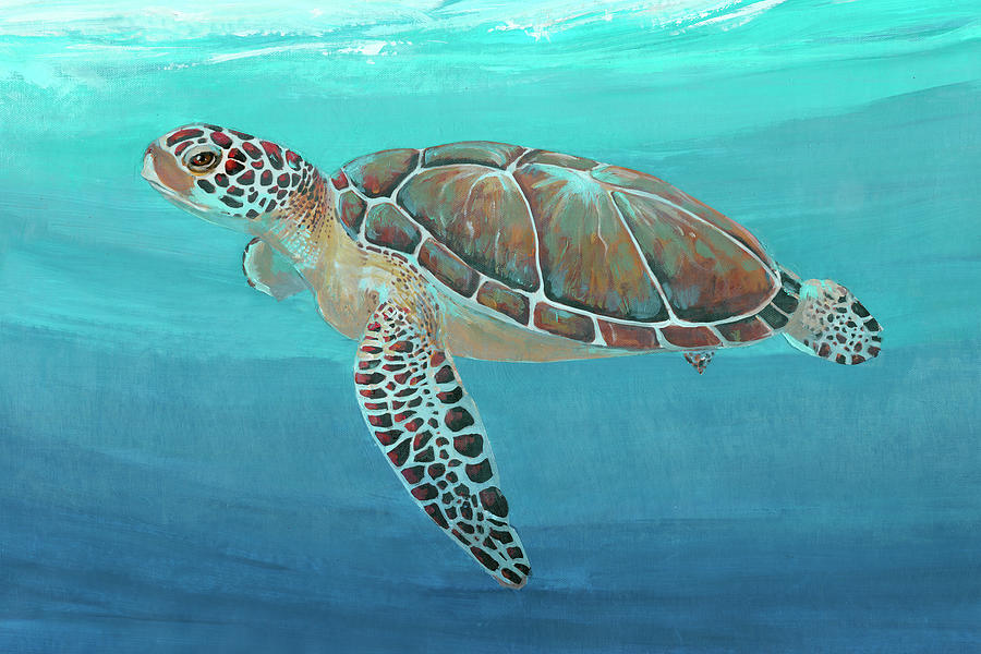 Ocean Sea Turtle II Painting by Tim O'toole | Fine Art America