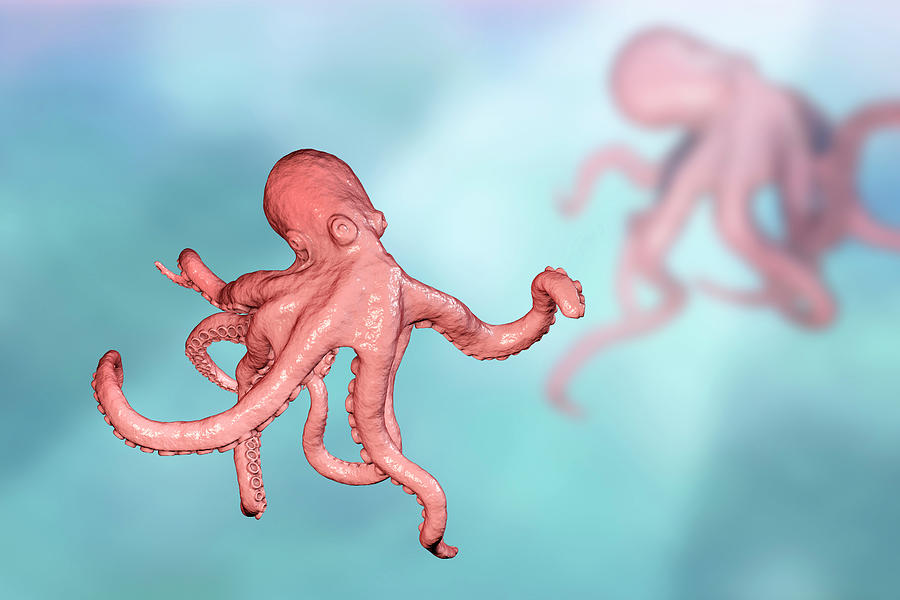 Octopus, Illustration #1 Photograph by Kateryna Kon