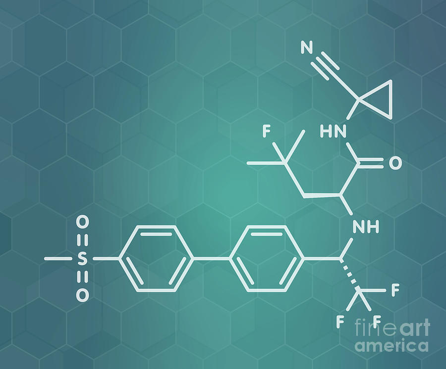 Odanacatib Osteoporosis Drug Molecule Photograph By Molekuulscience