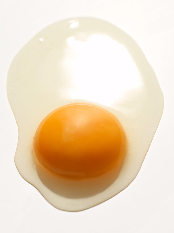 Oeuf Raw Egg Photograph by Studio - Photocuisine - Fine Art America