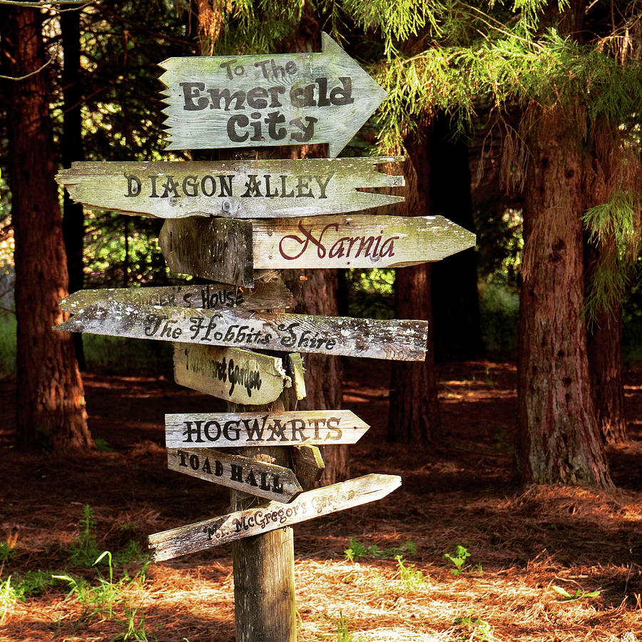 Sign Photograph - Oh The Places You Will Go #1 by Lance Kuehne