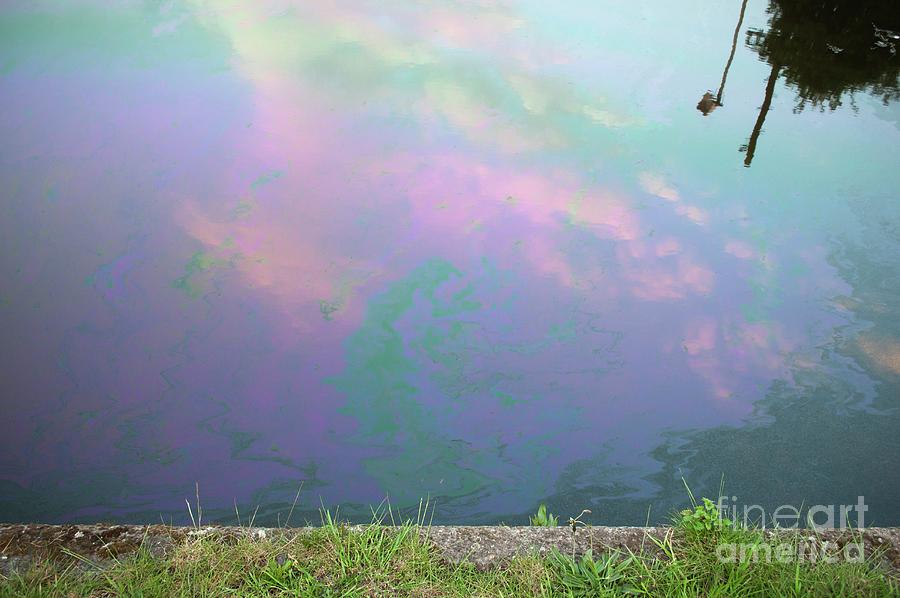 Oil Slick On Canal #1 Photograph by Robert Brook/science Photo Library