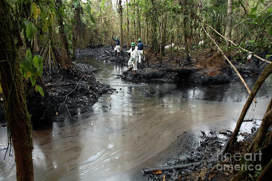 Oil Spill Damage Control In A Rainforest #1 Photograph by Dr Morley Read/science Photo Library