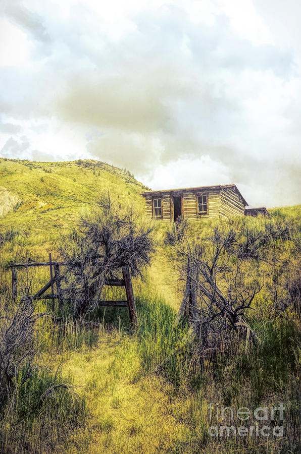 Old Cabin on a Hill #1 Photograph by Jill Battaglia