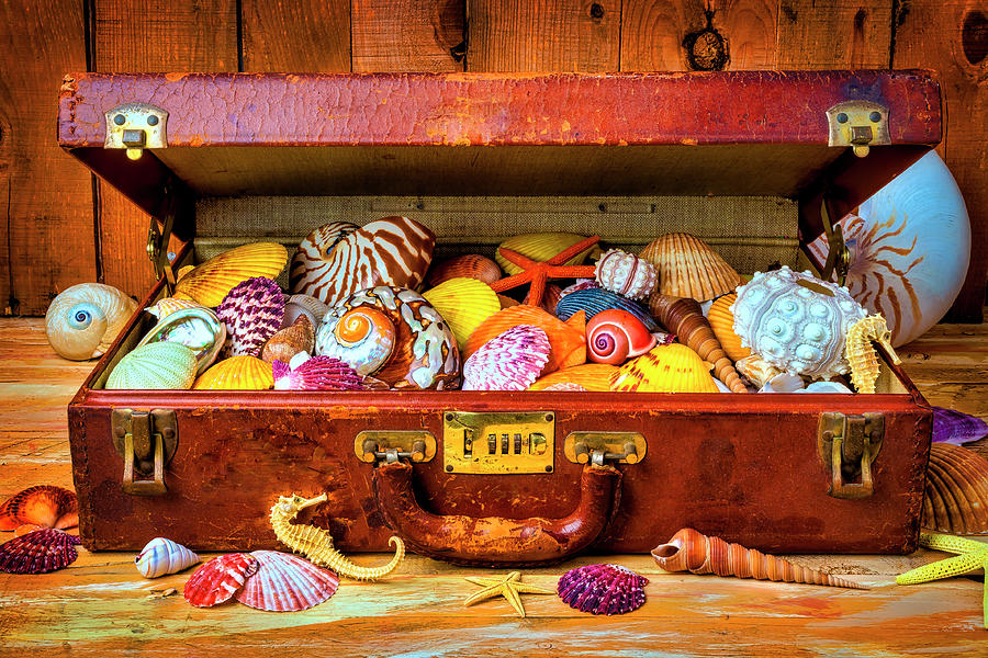 Old Suitcase With Seashells by Garry Gay Old Suitcase With Seashells by Garry Gay