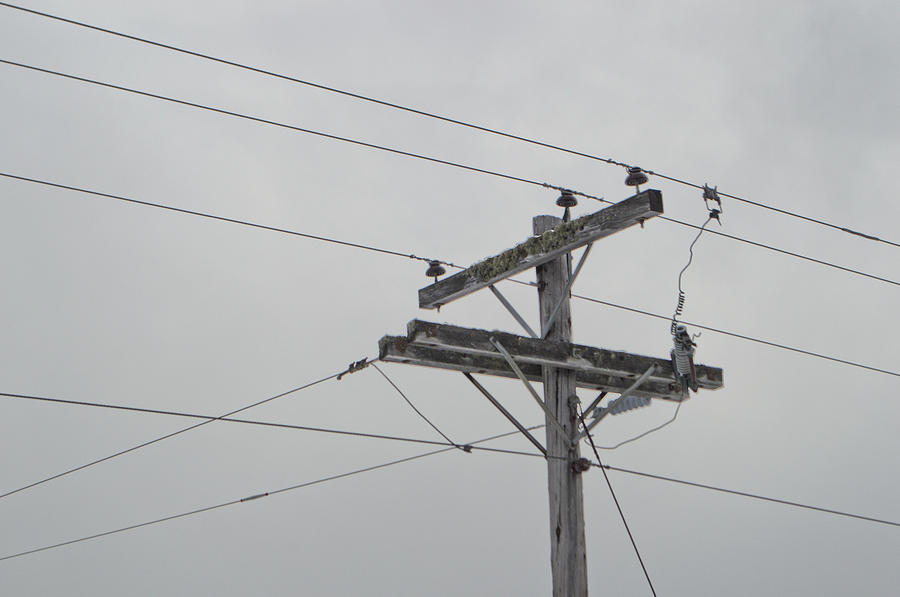 Old Wooden Telephone Pole Photograph By Devon Watts