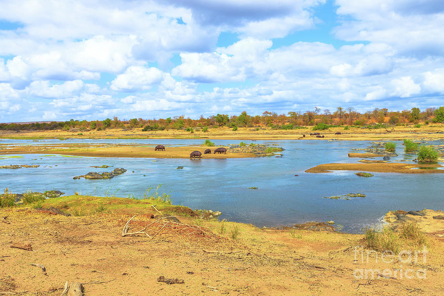 Olifants River Kruger #1 Photograph by Benny Marty