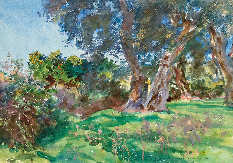Olive Trees, Corfu #1 Drawing by John Singer Sargent