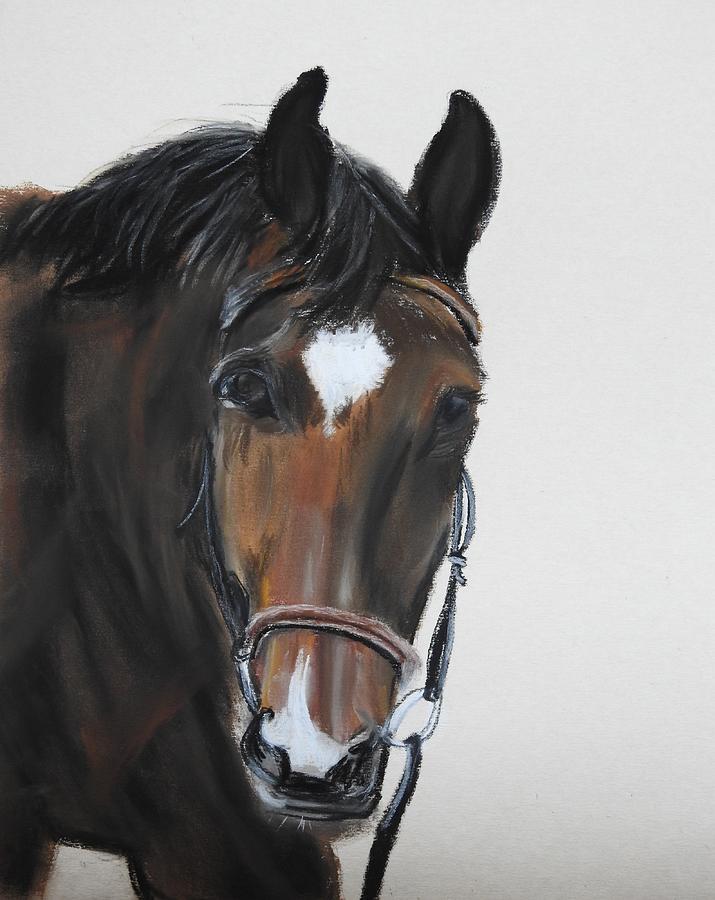 Oliver #2 Pastel by Betty-Anne McDonald