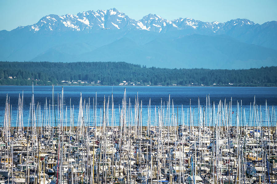 Olympic Mountains And Boat Marina In Puget Sound Washington Stat #1 Photograph by Alex Grichenko