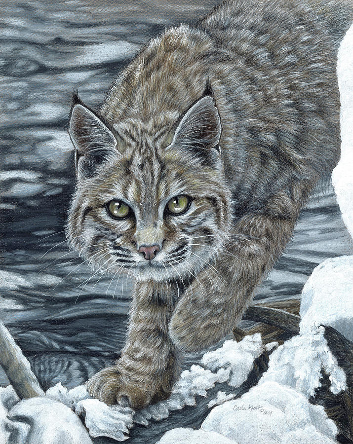 Wildlife Painting - On The Prowl #1 by Carla Kurt