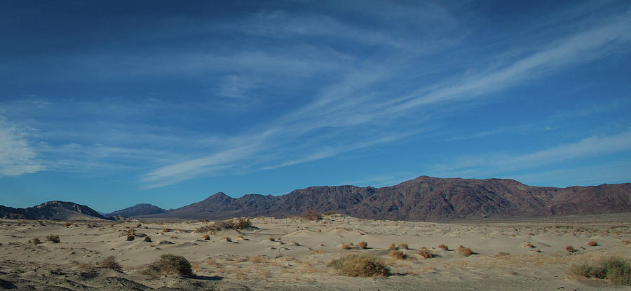 on the road, in the desert during the day one sees the dry vege by Kim Vermaat on the road, in the desert during the day one sees the dry vege by Kim Vermaat