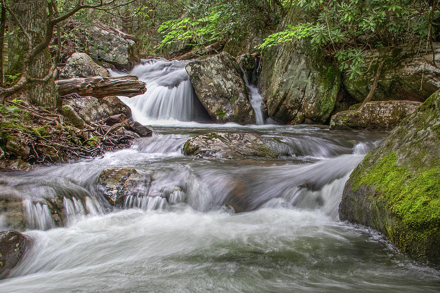 On The Trail To Cascade Falls by James Woody On The Trail To Cascade Falls by James Woody
