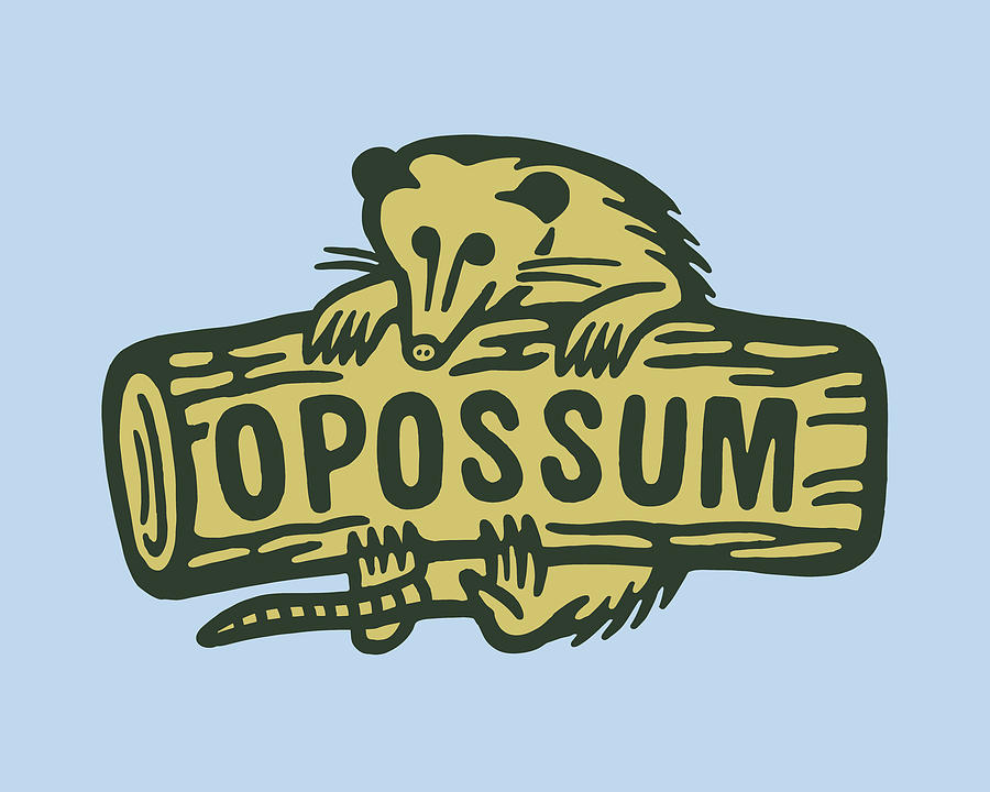 Typography Drawing - Opossum on a Log #1 by CSA Images