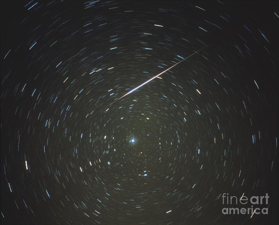 Optical Image Of A Leonid Meteor And Star Trails #1 Photograph by Dan Schechter/science Photo Library