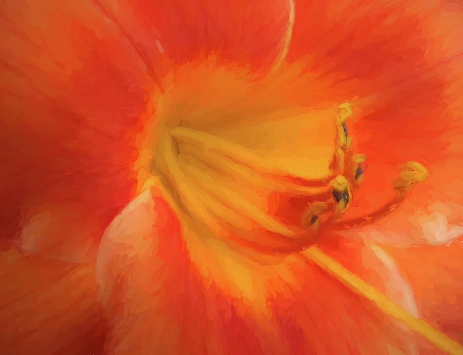 Orange and Yellow Hibiscus Flower Abstract #1 Photograph by Tony Grider