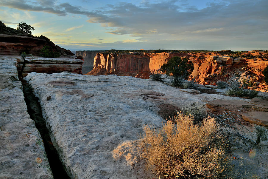 Orange Cliffs Of Canyonlands National Park Photograph