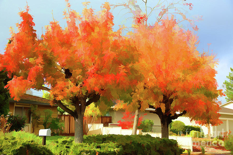 Orange Colors of Fall Season  #1 Photograph by Chuck Kuhn