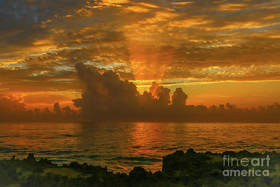 Orange Sun Rays #2 Photograph by Tom Claud