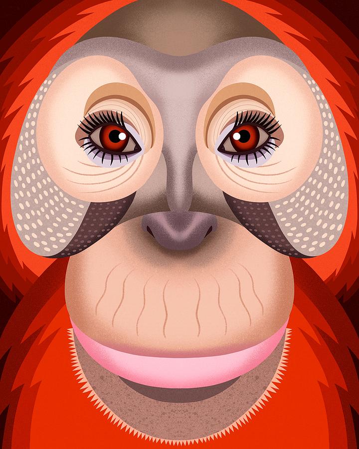Animal Digital Art - Orangutan #2 by Nicole Wilson