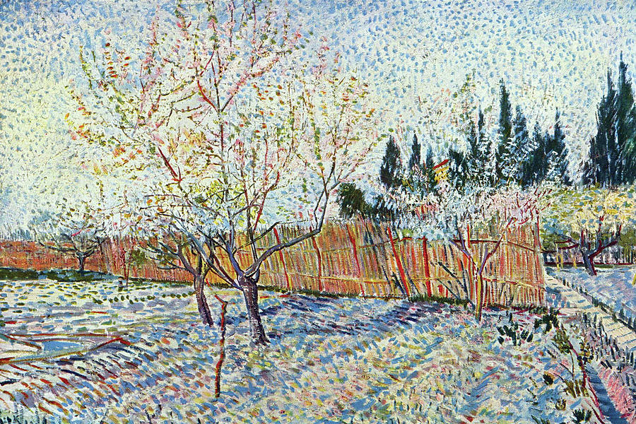 Orchard Painting by Vincent Van Gogh - Pixels