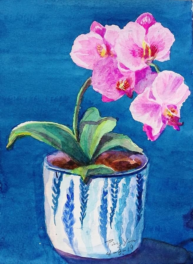 Orchid by Ping Yan Orchid by Ping Yan