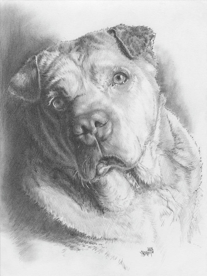 Dog Painting - Ori-pei #1 by Barbara Keith