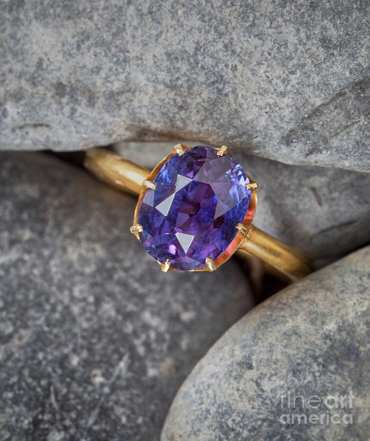 Oriental Amethyst Ring #1 Photograph by Natural History Museum, London/science Photo Library